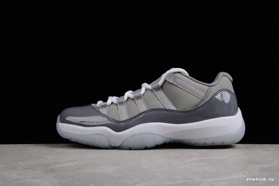 Jordan Retro Grey Cool  528895-003  Low 11 528895-003 0118